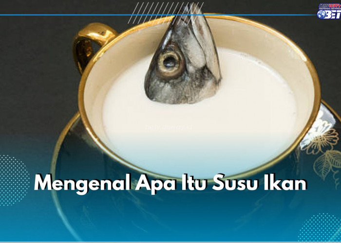 Produk Susu dari Protein Ikan Inovasi Kuliner Sehat dan Bergizi.prezzo-in-farmacia (4)